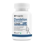 Trexgenics DANDELION (Bioactive 4% Flavonoids) 500mg VEGAN & GLUTEN FREE with Bio-enhancer Piperine 5mg Liver Function, Dextox, Antioxidant, Digestion (60 Vcaps)