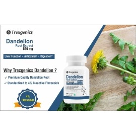 Trexgenics DANDELION (Bioactive 4% Flavonoids) 500mg VEGAN & GLUTEN FREE with Bio-enhancer Piperine 5mg Liver Function, Dextox, Antioxidant, Digestion (60 Vcaps)