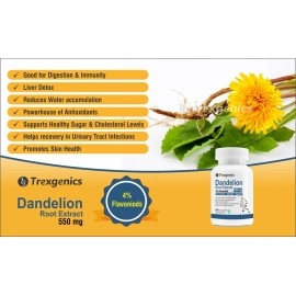 Trexgenics DANDELION (Bioactive 4% Flavonoids) 500mg VEGAN & GLUTEN FREE with Bio-enhancer Piperine 5mg Liver Function, Dextox, Antioxidant, Digestion (60 Vcaps)