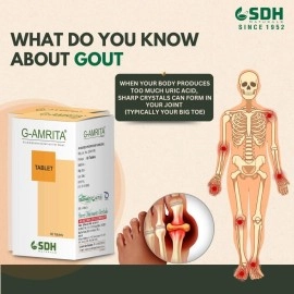 SHREE DHANWANTRI HERBALS Naturals G Amrita Capsule helps in Gout, Joint Pain Relief by Healthy Uric Acid Level, helps reduce swelling & Pain, Supplement for Joint care pack of 120 (60x2) Capsules