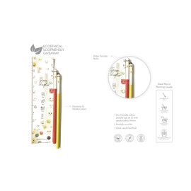 The Green Chapter Plantable Seed Pencil Eco Friendly Gift Pack Grow Plants from Pencils made from 100% Recycled Paper Birthday Return Kids School Gift Stationery Pack of 12 Assorted Pencil