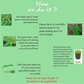 Axiom Bhoomi Amla Herbal Juice 500 ml | Healthy Liver | Helps In Digestion | Boost Immunity | 100% Natural WHO-GLP,GMP, Certified Product |