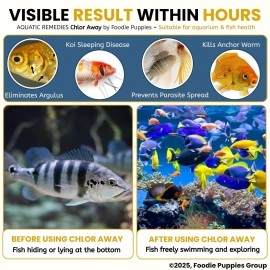 Foodie Puppies Aquatic Remedies Chlor Away - 100ml | Suitable for Fresh Water and Salt Water | Chlorine and Chloramine Remover | Aquarium Water Conditioner, with Free Key Ring