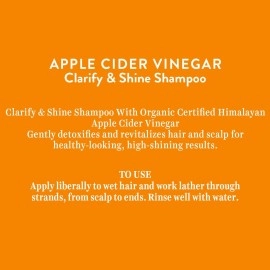 Biotique Apple Cider Vinegar Hair Shampoo, for all Hair Types, 300ml