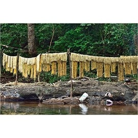 LJL Traders Natural Ayurvedic Herbal Scrubber/Acacia caesia/Incha/Nikunjika/Enja - 100 gm