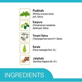 AMRUTANJAN RELIEF COUGH & COLD RUB 30 G - PACK OF 4