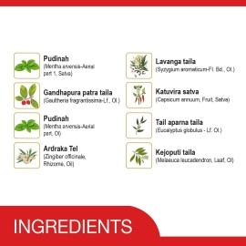 AMRUTANJAN NEW MAHA STRONG PAIN BALM 8 ML - PACK OF 6