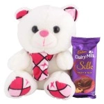 Astonished Retail Dairy Milk Silk Fruit N Nut with Muffler Teddy | Chocolate Gift for Rakhi, Diwali, Christmas, Birthday, Anniversary, Holi, 1