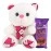 Astonished Retail Dairy Milk Silk Fruit N Nut with Muffler Teddy | Chocolate Gift for Rakhi, Diwali, Christmas, Birthday, Anniversary, Holi, 1