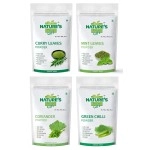 NATURES GIFT - FOR THOSE WHO CARES Curry Leaves Powder, Mint Powder, Coriander Leaves Powder & Green Chilli Powder - 100 GM Each