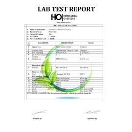 LEANBEING Herbaveda - Kala gond | Gond Siyah | Good for Joints | - (100g) Lab Certified