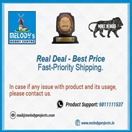 Solar Street Light Energy Conservation Model for School Science Project, with Decorative Material and Project Report.