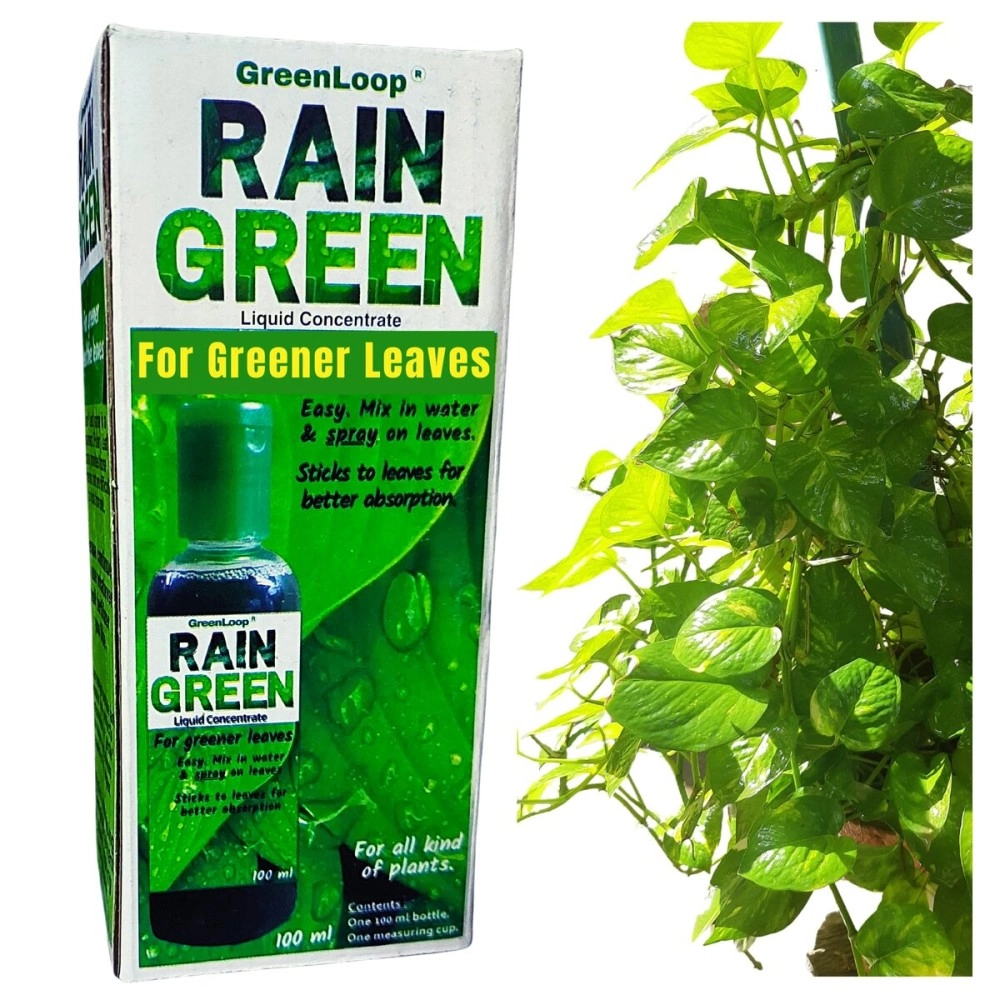 GreenLoop RAIN Green - Liquid Concentrate for Lush Green Leaves, 100ml, Mix in Water & Spray on Leaves.