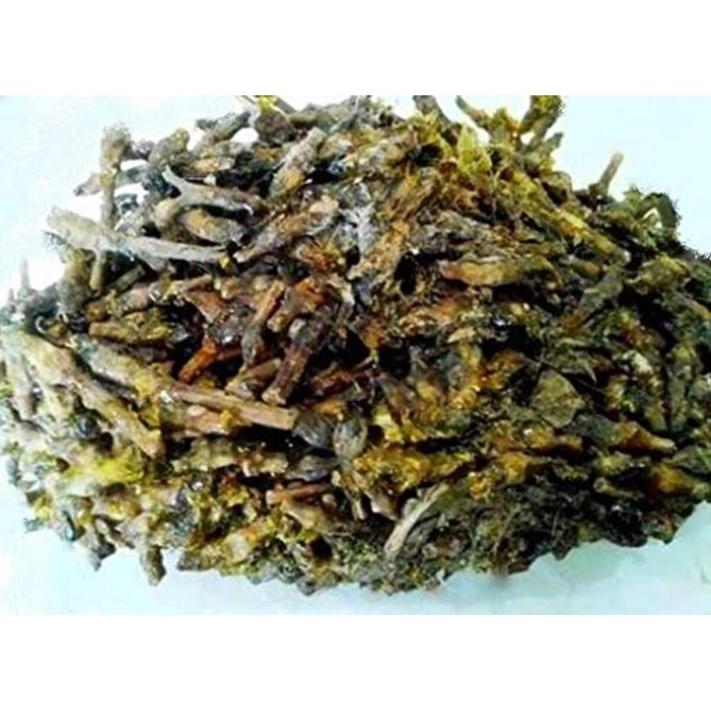 Pmw - Dikamali - Gandharaj - Gardenia Gummifera - 100 Grams - Dikamalley Gum - Nadi Hingu - Karinguva