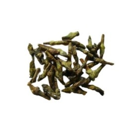 Pmw - Dikamali - Gandharaj - Gardenia Gummifera - 100 Grams - Dikamalley Gum - Nadi Hingu - Karinguva