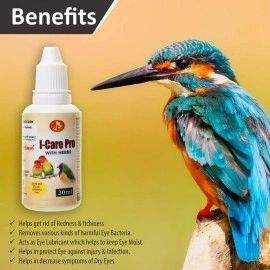 Pet Care International (PCI) I-Care Pro, Provide Healthy Eye Care for Healthy Bird Bath Healthcare (Pack of 2) (30ml x 2)