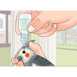 Pet Care International (PCI) I-Care Pro, Provide Healthy Eye Care for Healthy Bird Bath Healthcare (Pack of 2) (30ml x 2)