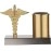 ZAHEPA Pen Stand For Doctors With Caduceus Symbol, Gifts For A Medical Student, Office Accessories, Desk Organiser In Gold & Silver Color, Inside