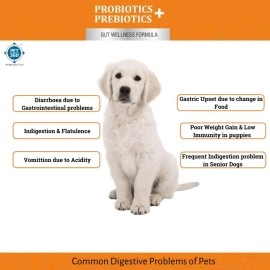 PET360 PROBIOTICS + PREBIOTICS Gut Wellness Formula for Dogs & Cats - 10 Sachets | 2.5 Billion CFU Yeast + 150 Million Lactic Acid Bacilli with MOS & FOS for Improved Digestion & Control Diarrhoea