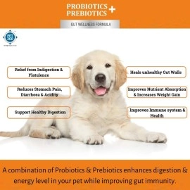 PET360 PROBIOTICS + PREBIOTICS Gut Wellness Formula for Dogs & Cats - 10 Sachets | 2.5 Billion CFU Yeast + 150 Million Lactic Acid Bacilli with MOS & FOS for Improved Digestion & Control Diarrhoea
