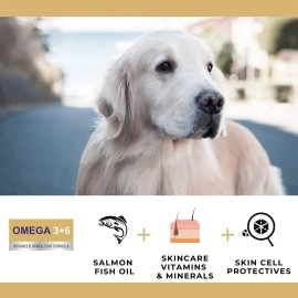 PET360 Omega 3+6 Concentrated Salmon Fish Oil for Dogs & Cats with Vitamins, Minerals & Taurine - 200 ml, Pack of 2 | Shinier Coat, Itch Control & Reduced Skin Allergies | Improved Skin & Hair Health