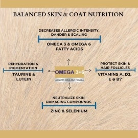 PET360 Omega 3+6 Concentrated Salmon Fish Oil for Dogs & Cats with Vitamins, Minerals & Taurine - 200 ml, Pack of 2 | Shinier Coat, Itch Control & Reduced Skin Allergies | Improved Skin & Hair Health
