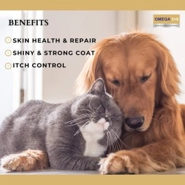 PET360 Omega 3+6 Concentrated Salmon Fish Oil for Dogs & Cats with Vitamins, Minerals & Taurine - 200 ml, Pack of 2 | Shinier Coat, Itch Control & Reduced Skin Allergies | Improved Skin & Hair Health