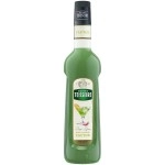 Mathieu Teisseire Cactus Syrup, 700 ml