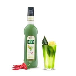 Mathieu Teisseire Cactus Syrup, 700 ml