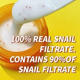THE SKIN HOUSE since 1979 Vita Snail Cream 50Ml (1.69 Fl.Oz) 90% Of Natural Snail Mucin, 2% Of Niacinamide, Vitamin C+ Vitamin E| Clean Beauty, Paraben Free, Cruelty Free