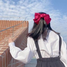 Young & Forever Hair Accessories Maroon Hair Bows for Women Girls, Hair Clips for Styling Bowknot French Barettes and Hair Clips for Women Girls, Hair Bow Clips Accessories for Women