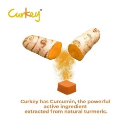 Curkey Pastilles for Quick Relief from Sore Throat with Natural Curcumin Extract from Turmeric | Sugar Free, Mint Flavour - 10 Pastilles (Pack of 10)