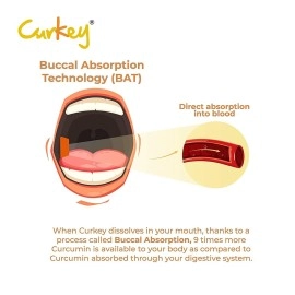 Curkey Pastilles for Quick Relief from Sore Throat with Natural Curcumin Extract from Turmeric | Sugar Free, Mint Flavour - 10 Pastilles (Pack of 10)