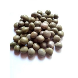 vinarghya - Sagargota/Katkaranj/Fever Nut/Caesalpinia Bonducella/Karanjwa/Kalarchikai/Vajra Bijaka/Indian Beech/Lata Karanj/Gajaa/Sagargoti/Saargota/Letaguti/Gajga/Gajikekayi - 100 g