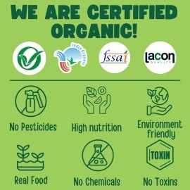 TUMMY FRIENDLY Foods Certified Organic Sprouted Porridge Mixes | Made of Organic Sprouted Ragi Powder, Sprouted Whole-grains, Sprouted Pulses, Fruit, Vegetables and nuts For Little Ones | No Sugar, No