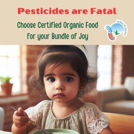 TUMMY FRIENDLY Foods Certified Organic Sprouted Porridge Mixes | Made of Organic Sprouted Ragi Powder, Sprouted Whole-grains, Sprouted Pulses, Fruit, Vegetables and nuts For Little Ones | No Sugar, No