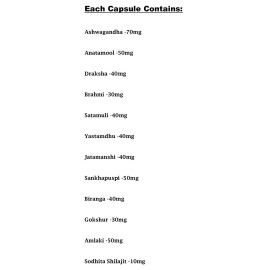 Good Health Dr. Biswas Safe Ayurvedic Capsules For Overall Health Pack of 2 (50X2)