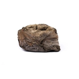 Yuvika Rasaut - Rasot - Berberis Aristata 100 Grams