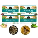 TEACURRY Slimming Tea (4 Months Pack, 120 Tea Bags) - Helps in Weight Management Both Men, Women | Lose Weight, Reduce Tummy, Prevent Ageing | Weight Loss Green Tea