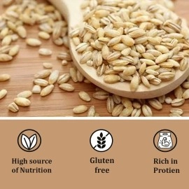 Farm & Farmers Organic Jau Sattu Flour 700gm - Gluten Free Barley Flour Atta Jau Ka Sattu, Fresh from Farms 100% Vegan No Preservatives, No Trans Fats, Rich in Protein and Nutrients