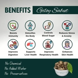 Brijbooti Giloy Stem Cutting - Tinospora Cordifolia 400 Gr