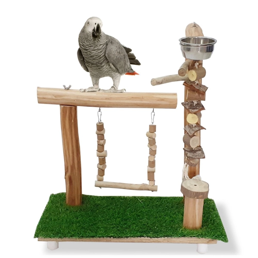 CONGO - NATURAL PARROT TREAT Gym Playing Stand for Bird Eucalyptus Wood | with Hanging Toy and Swing for Conure, Amazon, African Grey, Macaw and Other Birds