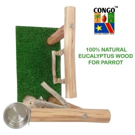 CONGO - NATURAL PARROT TREAT Gym Playing Stand for Bird Eucalyptus Wood | with Hanging Toy and Swing for Conure, Amazon, African Grey, Macaw and Other Birds