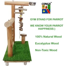 CONGO - NATURAL PARROT TREAT Gym Playing Stand for Bird Eucalyptus Wood | with Hanging Toy and Swing for Conure, Amazon, African Grey, Macaw and Other Birds