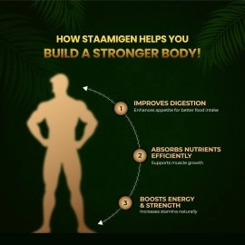 ALPHA AYURVEDA Staamigen Malt - Ayurvedic Weight Gainer for Men with Natural Ingredients to Boost Muscle Mass, Stamina, Appetite, and Overall Wellness - 1 Kg - 2 x 500 grams Tubs, 2 count