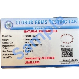 SJ SHUBHAM JEWELLERS 925 Sterling Handmade Dual Silver Wire Stylish Rudraksha Bracelet Silver Rakhi For Men (Brown, 6 Mm Natural Beads Om Silver Para) (Plain Rudrakasha)