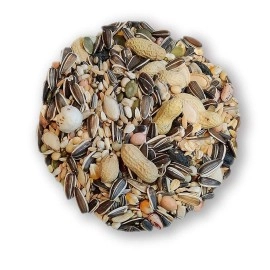 BirdsNature Premium Seed Mix Food for African Greys Parrot , Senegals, Amazons, Electus, Small Cockatoos, Conures , Caiques & Exotic Birds(1000g)