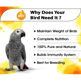 BOLTZ Parrot Food 1Kg for Big Parrot, African Grey, Sun Conure, Macaw, Lovebird and Alexander - All Life Stages Mix Seeds