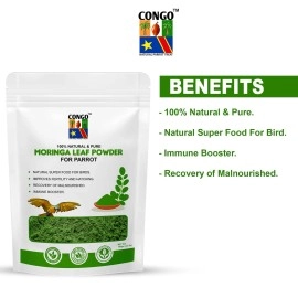 CONGO - NATURAL PARROT TREAT 100gm Moringa Powder to Provide Essential Proteins for Budgies, Lovebirds, Cockatiels, Conure, Senegal, Amazon, African Grey, Macaw, Cockatoo and Other Birds, 100gm