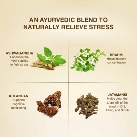 Maharishi Ayurveda Worry Free Ayurvedic Medicine Helps keeps the mind and body calm and relaxed Non Addictive 60 Tablets x Pack of 1